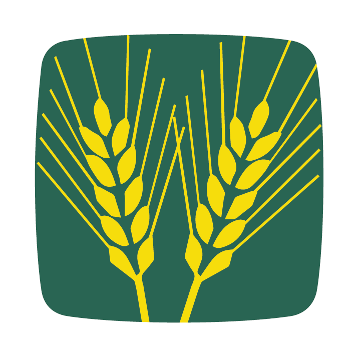 búza blé wheat icon