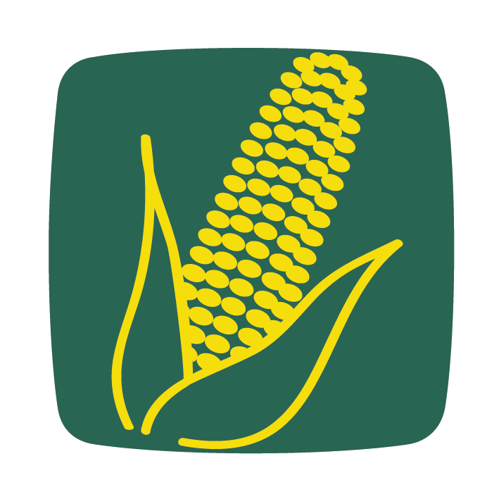 kukorica hibridkukorica mais maize corn icon