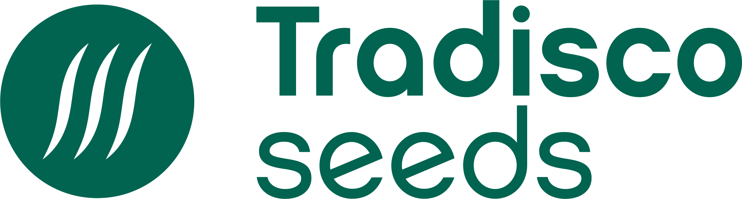 Tradisco Seeds Kft. - vetőmag termeltetés, előállítás, szaporítás, kereskedelem